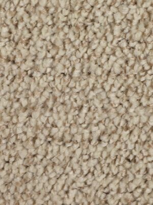 ДРАГОН 10231 — изображение 5