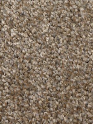 ДРАГОН 10431 — изображение 5