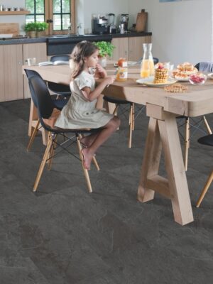 Сланец чёрный — изображение 3