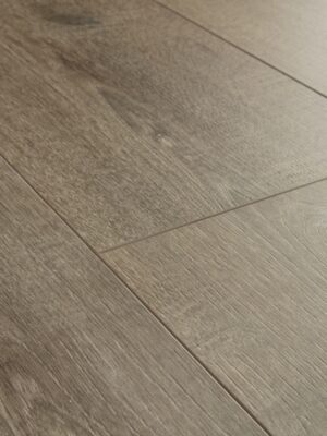 Дуб бархатный коричневый — изображение 4