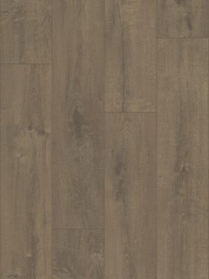 Дуб бархатный коричневый — изображение 3