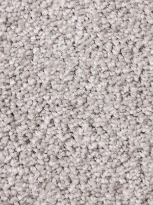 VEGAS 50 — изображение 4