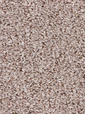 DISCOVERY 50 — изображение 4