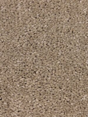 DISCOVERY 70 — изображение 4