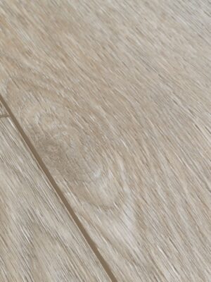 Серо-бурый шелковый дуб — изображение 3