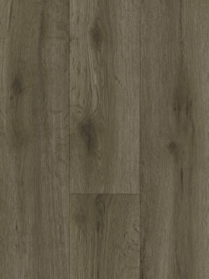 SKY ELEANOR 3 — изображение 1