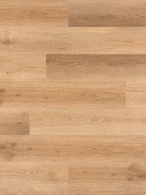 Анаверо SW 1036 — изображение 1