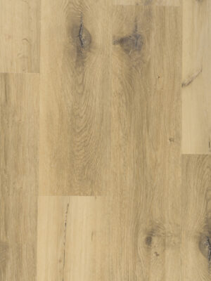 Кабру SW 1012 — изображение 2