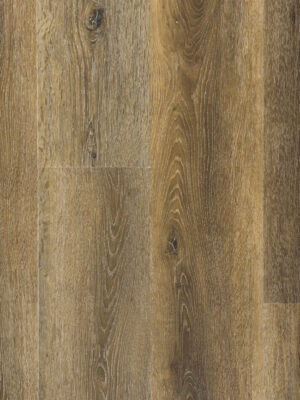 Кампана SW 1014 — изображение 2