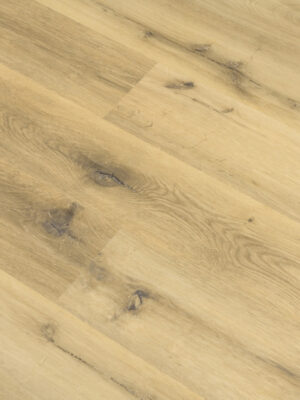 Кабру SW 1012 — изображение 4