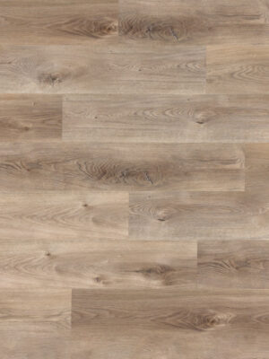 Сантьяго SW 1040 — изображение 1