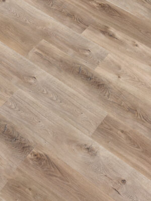 Сантьяго SW 1040 — изображение 4