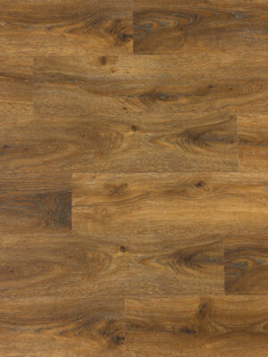 Савой SW 1021 — изображение 1