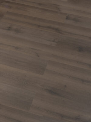 Эверест SW 1001 — изображение 3