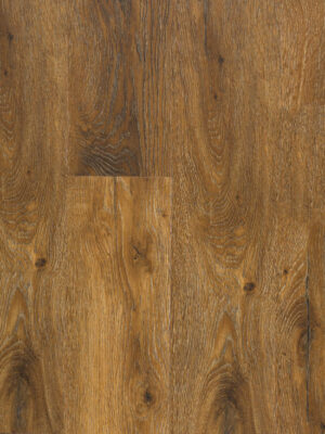 Савой SW 1021 — изображение 2