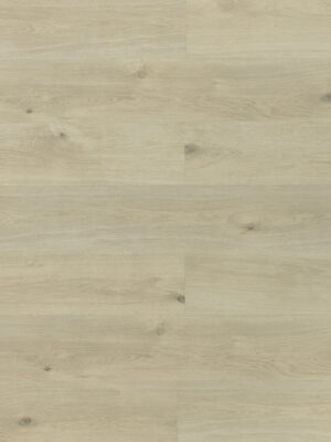 Кордильера SW 1004 — изображение 1