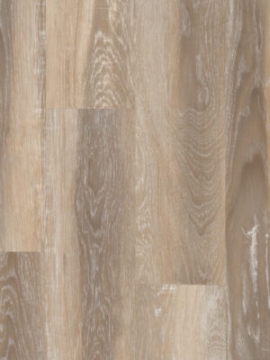 Сорризо SW 1033 — изображение 7