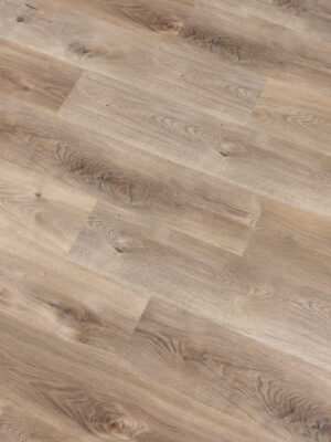 Сантьяго SW 1040 — изображение 2