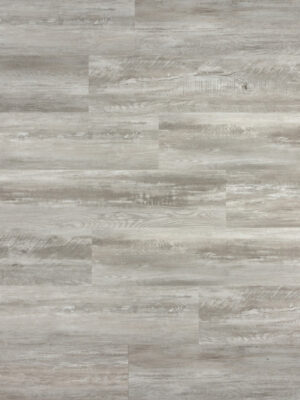 Альтеро SW 1019 — изображение 1