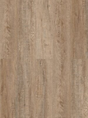 Дуб Блэкрок — изображение 1