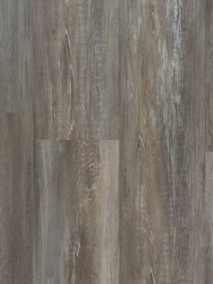 Атабаска SW 1009 — изображение 4