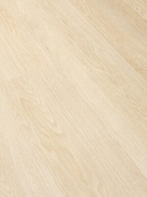 Дуб марципановый — изображение 2