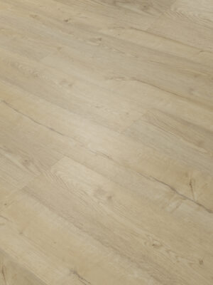 Монблан SW 1007 — изображение 1