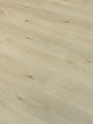 Кордильера SW 1004 — изображение 2