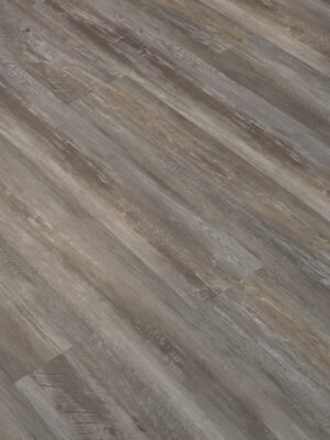 Атабаска SW 1009 — изображение 2