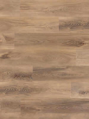 Моррито SW 1041 — изображение 1