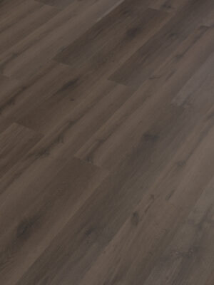 Эверест SW 1001 — изображение 1