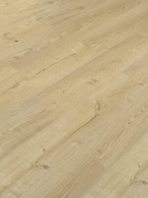 Монблан SW 1007 — изображение 3