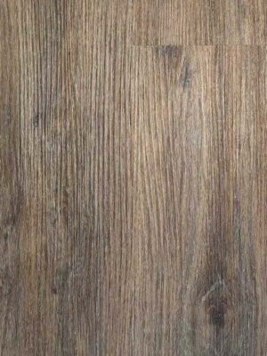 Дуб алтайский — изображение 1