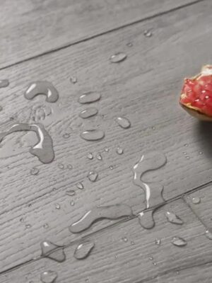 Дуб джавено — изображение 3