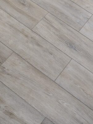 Дуб эмполи — изображение 1