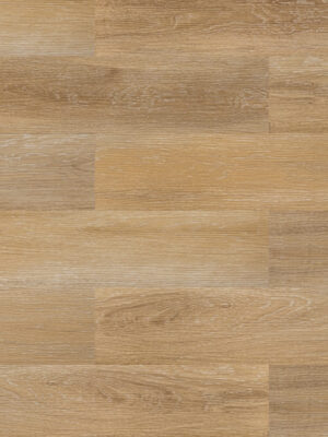 Дуб искристый — изображение 1