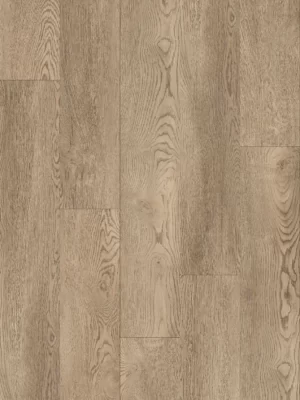 Дуб Кенди — изображение 1