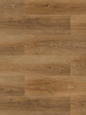 Дуб лёгкий — изображение 1