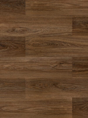 Дуб летний — изображение 1