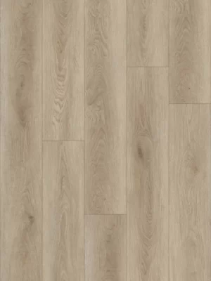 Дуб Милк — изображение 1