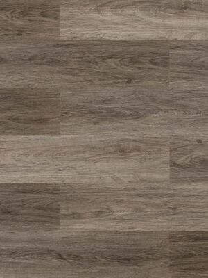 Дуб огненный — изображение 1