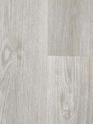 Дуб пиренейский — изображение 1