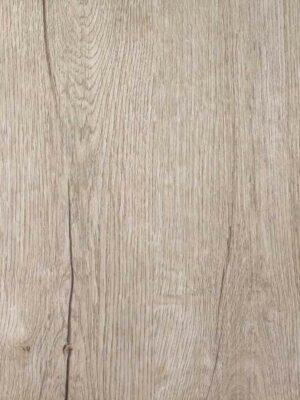 Дуб саянский — изображение 1