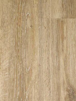 Дуб скандинавский — изображение 1