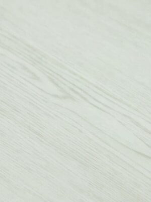 Дуб Торе — изображение 2