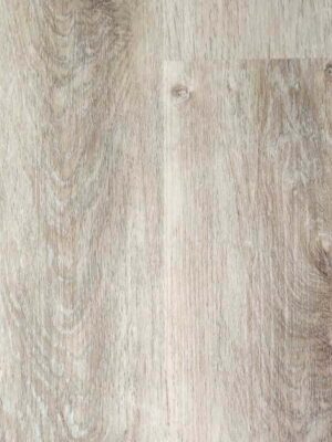 Дуб уральский — изображение 1