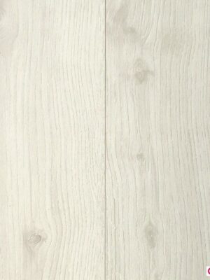 Дуб жемчужина — изображение 1