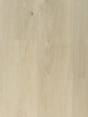 Кордильера SW 1004 — изображение 5