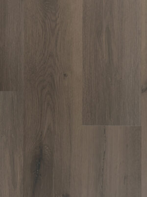 Эверест SW 1001 — изображение 5