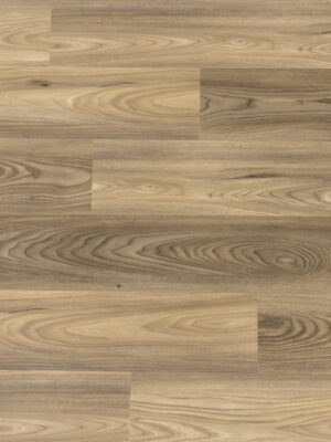 Бальди SW 1018 — изображение 1